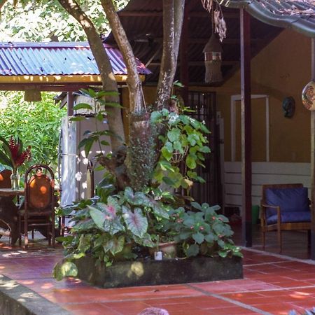 Mi Refugio Tayrona Hotel Santa Marta  Kültér fotó