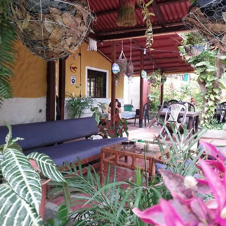 Mi Refugio Tayrona Hotel Santa Marta  Kültér fotó