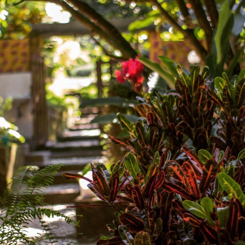 Mi Refugio Tayrona Hotel Santa Marta  Kültér fotó