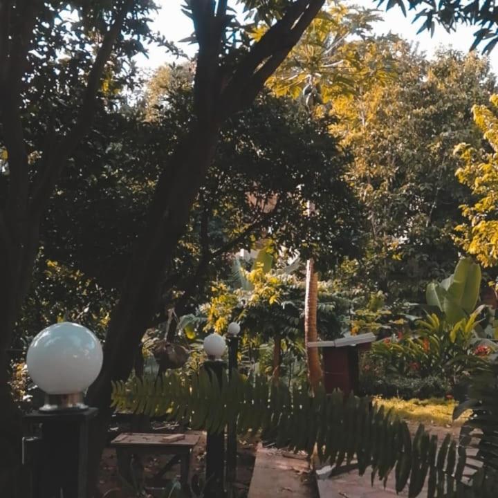 Mi Refugio Tayrona Hotel Santa Marta  Kültér fotó