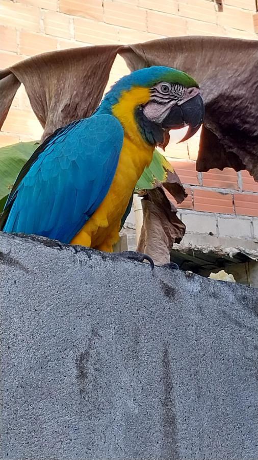 Mi Refugio Tayrona Hotel Santa Marta  Kültér fotó