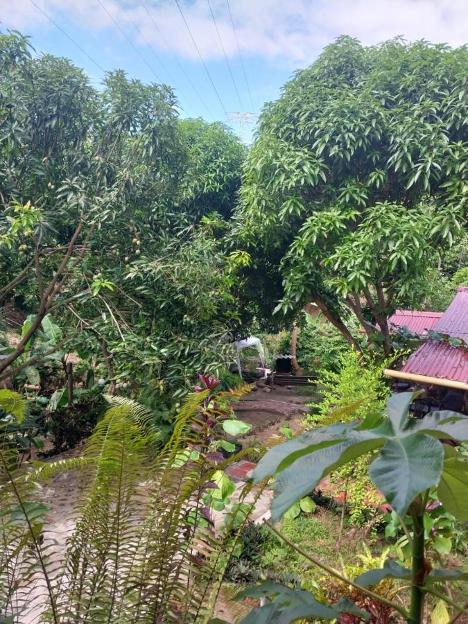 Mi Refugio Tayrona Hotel Santa Marta  Kültér fotó