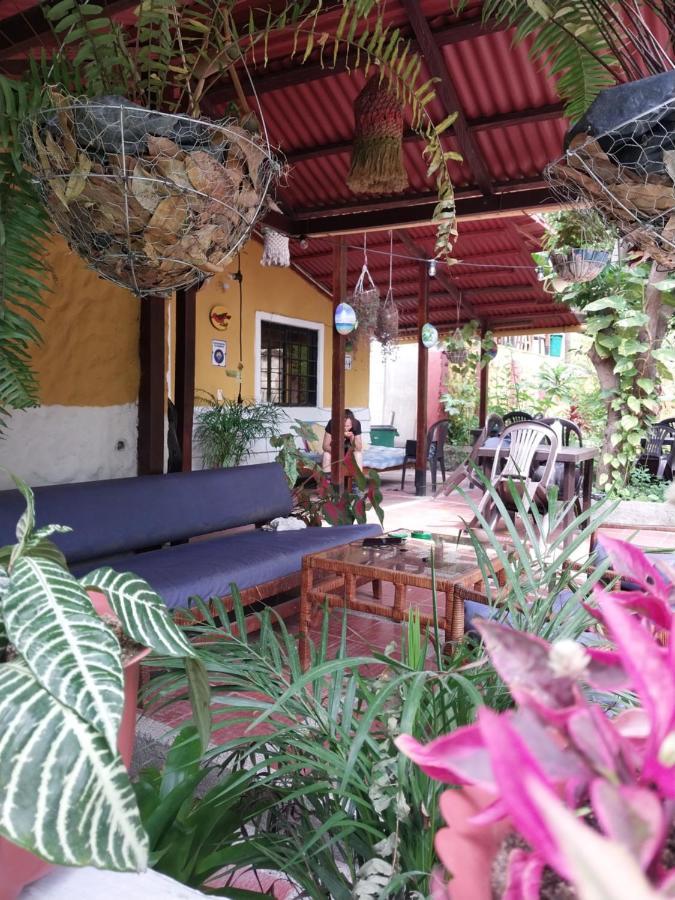 Mi Refugio Tayrona Hotel Santa Marta  Kültér fotó