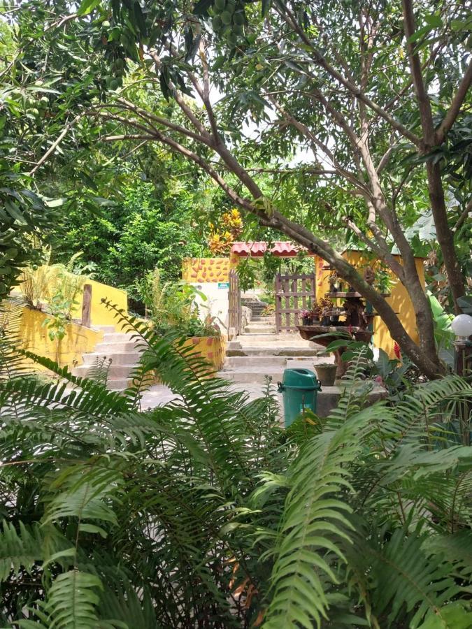 Mi Refugio Tayrona Hotel Santa Marta  Kültér fotó